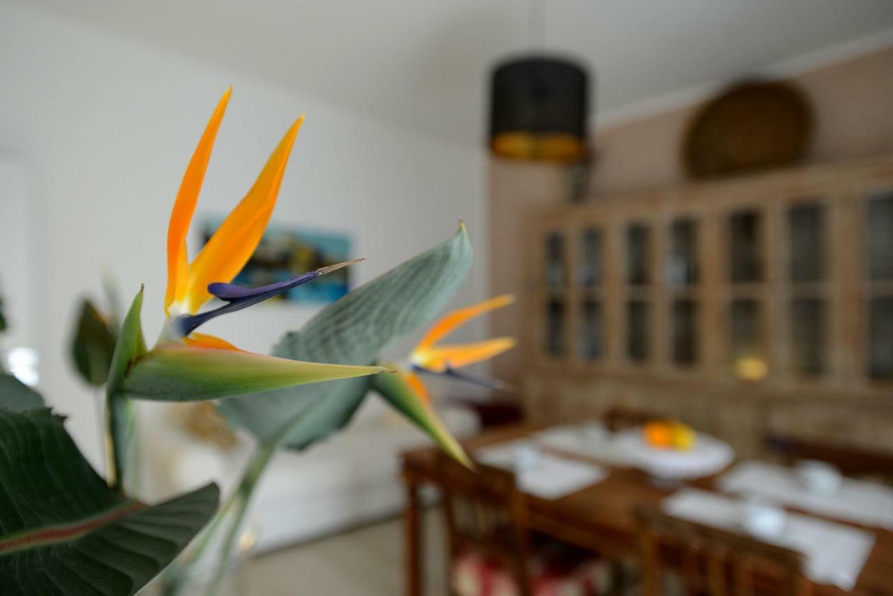 B&B Alghero 82 Zewnętrze zdjęcie